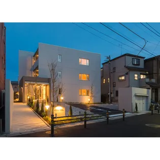 WHITE HILLSの画像