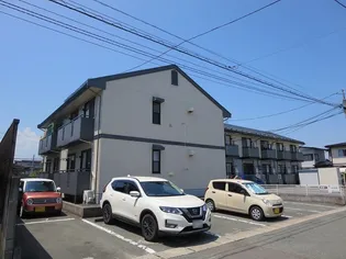 ガーデン セラリーの画像