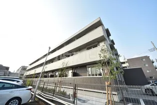 パティオロブレの画像