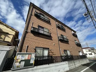 Kコスモスの画像