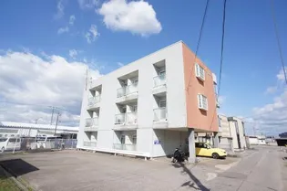 シャトレーNの画像