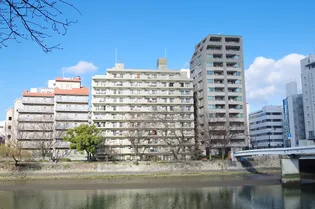 上柳橋ハイタウンの画像