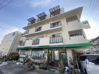 藤岡ビル【3階】の外観