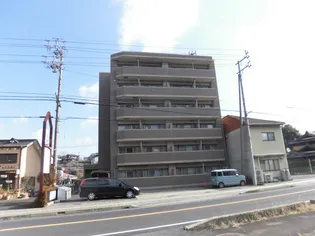 シェソワMの画像
