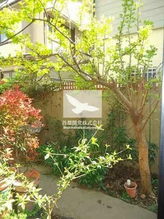 東京都豊島区目白4【一戸建】の外観