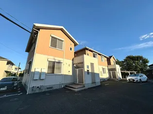 スプリング ローズの画像