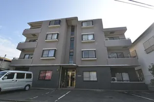 アルブルIIの画像