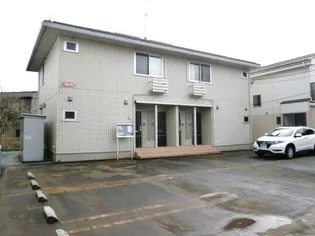 シルクツリーの画像