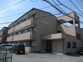 エコライトの画像