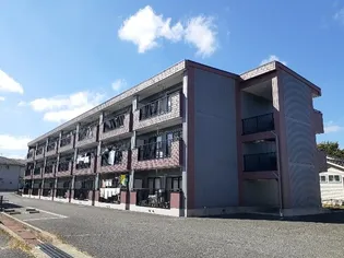 コージコートの画像