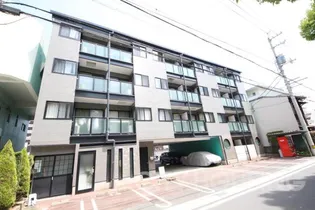 ピレノヴィラの画像