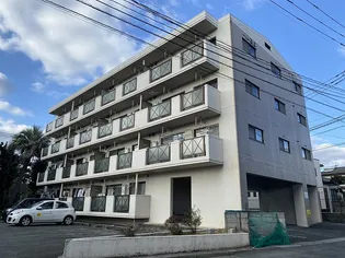 パピーズ光の森の画像