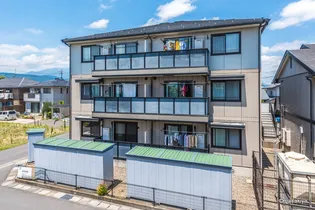 ライジング エムの画像