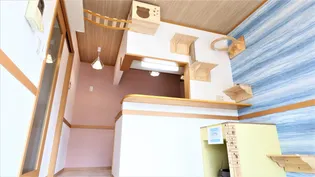 Cadog Freesiaの外観