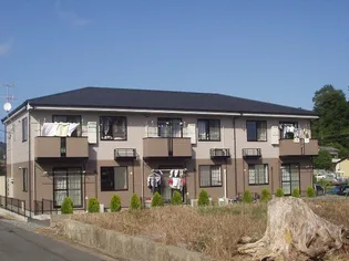 サニーエクセランの画像