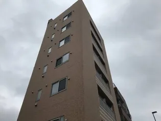 コスモポリタンの画像