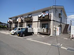 サープラスニュータナダの画像