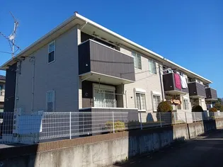 サニーグローヴの画像