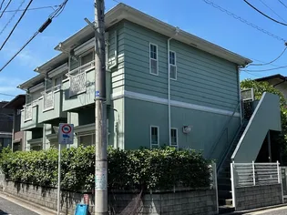 ハウスマーガレットの画像