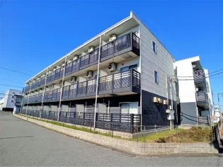 レオネクストルナルミエール越谷【3階】の外観
