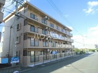 ブライトタイムIIの画像