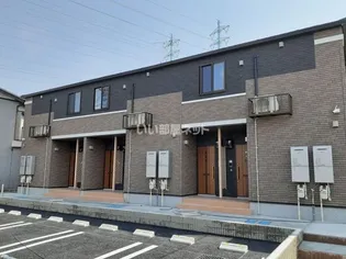 プラシードBの画像