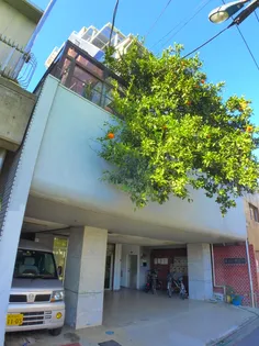 第1小野ビル【4階】の外観