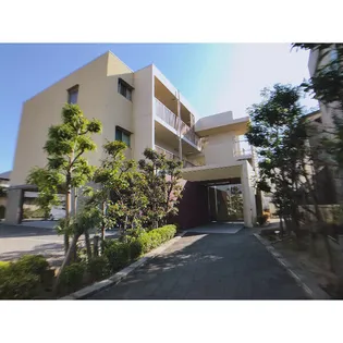 バレーロード辻子の画像