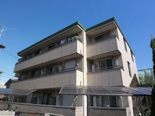 パピルスの画像