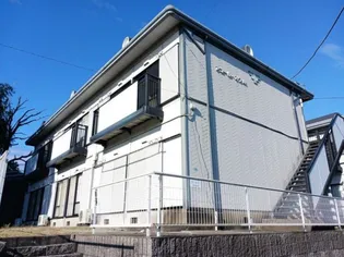 アコールスワAの画像