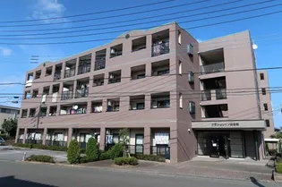 グランセレッソ弐番館の画像