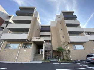 アルテマイスターマラマの画像