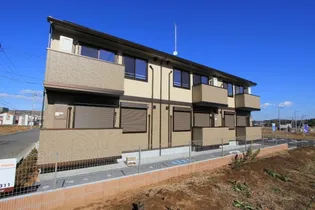 シャイニースカイコートの画像