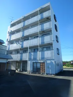 セゾンミスズの画像