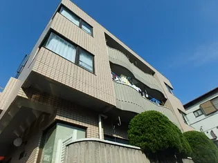 カルムサイトーの画像