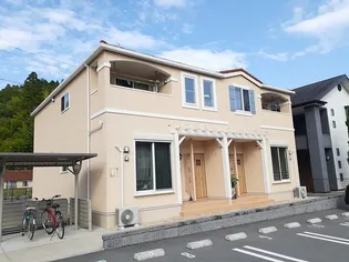 楓 Aの画像