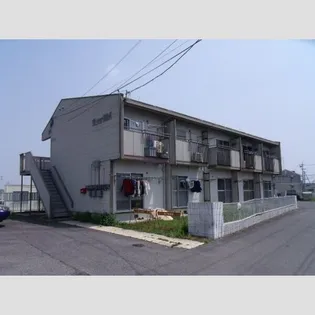 タウニーイイダの画像