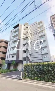 マーシスマルルの画像
