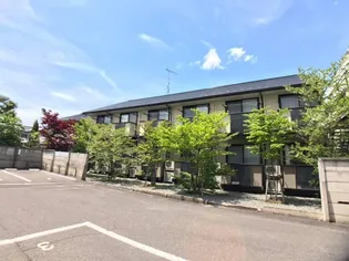 ミレニアム朝日の画像