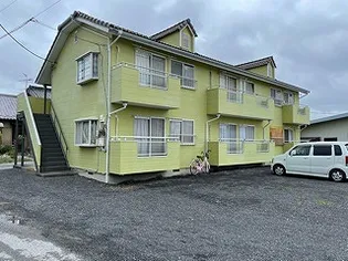 ソフィア37の画像