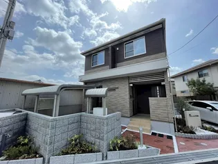 グリーンの画像