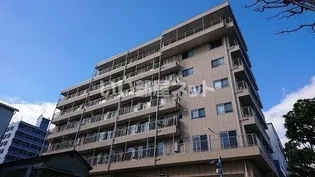 レレーヴ ヴィオレの画像