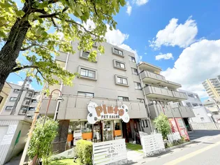 バイオレットヒルズの画像