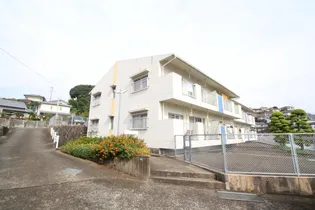 グリーン白鳥の画像