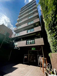 エルパラシオの画像