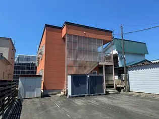 アプリコットの画像