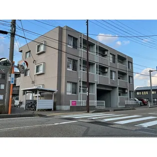 シヤンドゥの画像