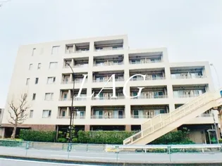 プレミアコート桜台の画像