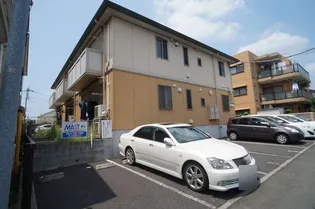 グリーンミヤの画像