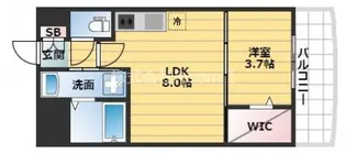 セレニテ谷町CALM【3階】の間取り